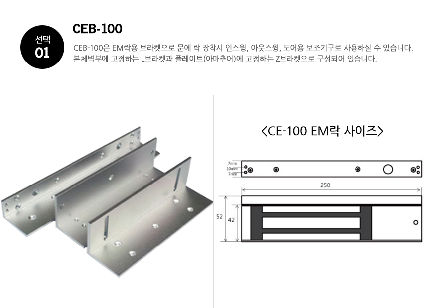 CEB100_option_1.jpg